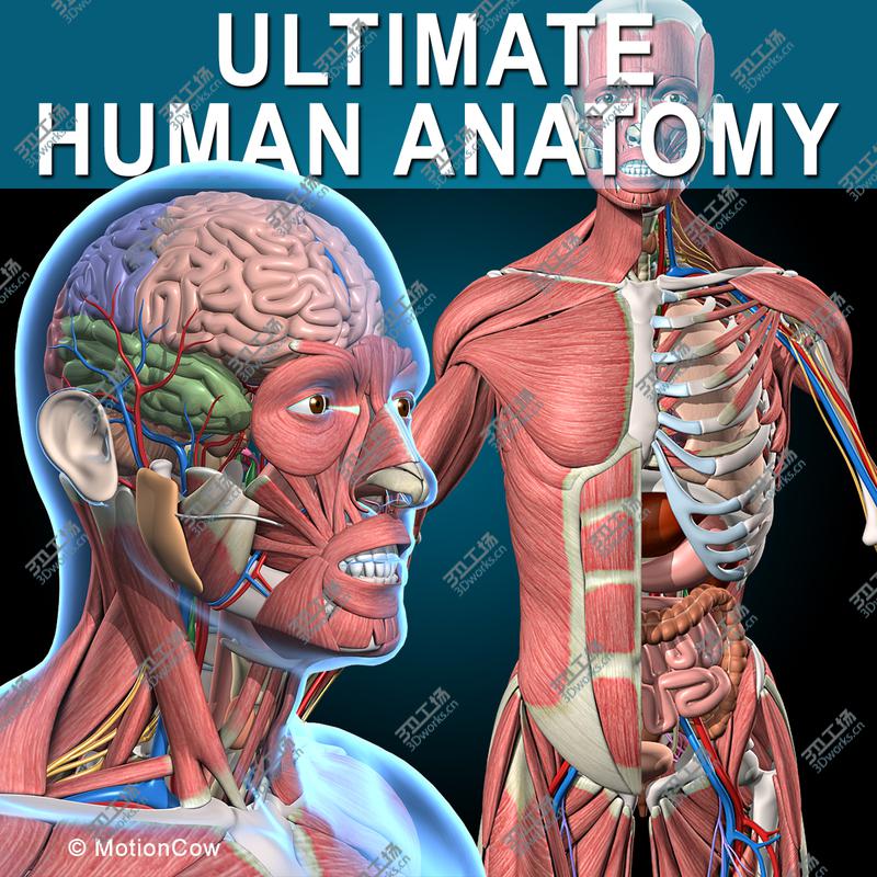 images/goods_img/20210113/Ultimate Human Anatomy/1.jpg